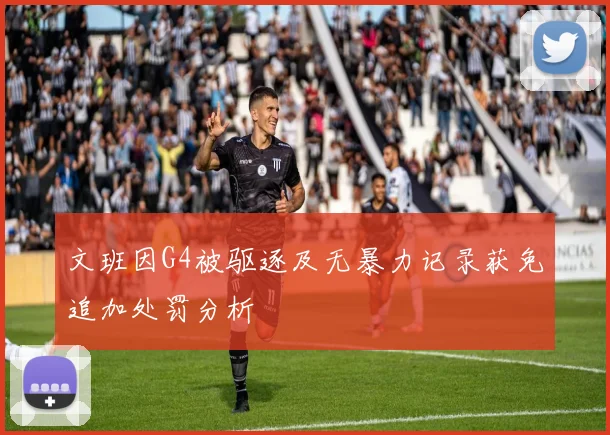 文班因G4被驱逐及无暴力记录获免追加处罚分析