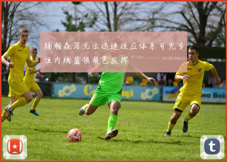 杨瀚森若无法迅速适应体系可先专注内线蓝领角色发挥